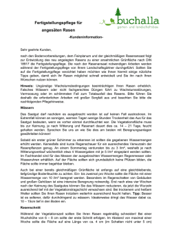 Fertigstellungspflege f&uuml;r anges&auml;ten Rasen