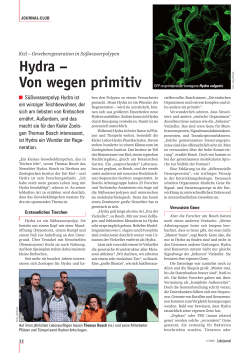 Hydra – Von wegen primitiv