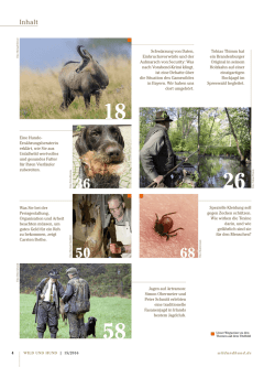 Inhalt - Wild und Hund