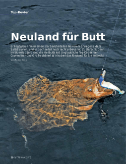 Neuland für Butt - Norwegen-Angelfreunde, Freunde geben Auskunft