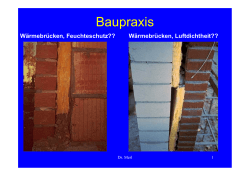 Baupraxis - Wienerberger