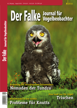 als PDF herunterladen - Dachverband Deutscher Avifaunisten