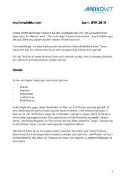 Impfempfehlungen