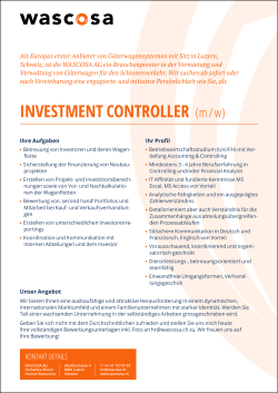 INVESTMENT CONTROLLER (m / w)