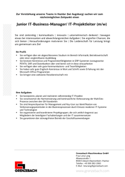 Hamlar Junior IT-Business-Manager, IT-Projektleiter