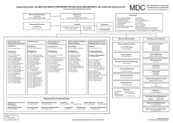 Organigramm des MDC - Max Delbrück Center for Molecular Medicine