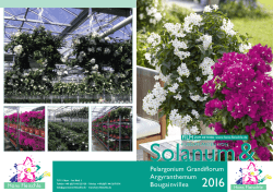 PDF Prospekt 2016 zum Ausdrucken