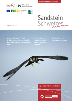 77. Sandstein Schweizer