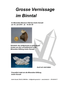 Grosse Vernissage im Binntal