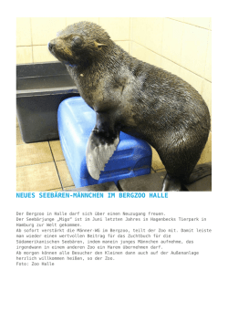 Neues Seeb&auml;ren-M&auml;nnchen im Bergzoo Halle