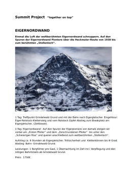 eigernordwand - summit
