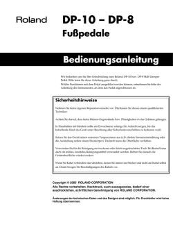 DP 10 Bedienungsanleitung