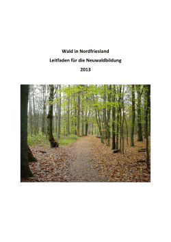 Information: Wald in Nordfriesland
