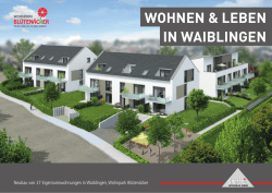 HAUS 2 - Brutschin Wohnbau GmbH
