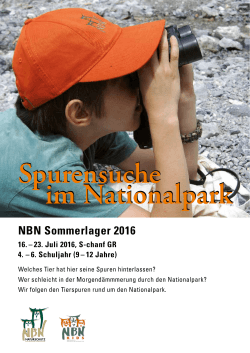 NBN Sommerlager 2016