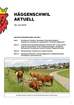 HA_Nr._29_vom_29.07.2016