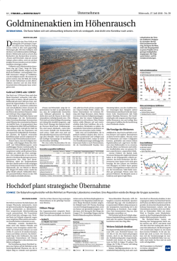 GoldminenaktienimH&ouml;henrausch