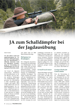 JA zum schalld&auml;mpfer bei der Jagdaus&uuml;bung