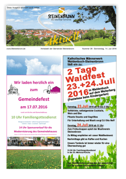 Steinenbronn Aktuell Nr. 28 vom 14. Juli 2016