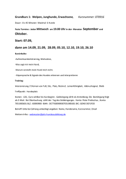 Grundkurs 1 - Pits Hundeausbildung