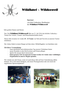 die verschiedenen Sponsoring Optionen