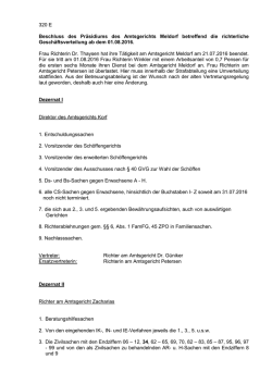 Gesch&auml;ftsverteilungsplan der Richter am Amtsgericht Meldorf
