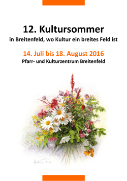 Programm des Kultursommers 2016 als PDF