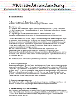 Förderrichtlinie - Landesjugendring Brandenburg