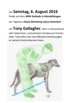 Flyer-Tony-Gallagher-Kurs - WRK – Windhundrennverein