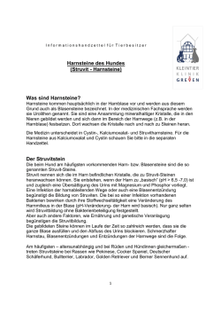 Harnsteine des Hundes (Struvit - Harnsteine)