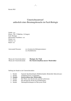 "Kristin Will RS Kl.7 Biologie/Ökologie: Mischwald" als PDF