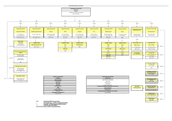 Organigramm 22.07.2016