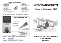 Informationsblatt - EFG