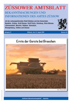Z&uuml;ssower Amtsblatt Nr. 08 / 2016