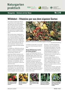 Wildobst – Vitamine pur aus dem eigenen Garten