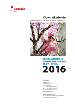 Info Sommerakademie 2016