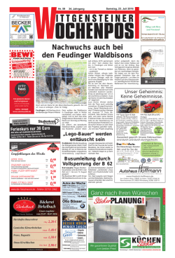 Nachwuchs auch bei den Feudinger Waldbisons