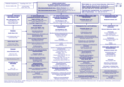 Organigramm als PDF - Deutsch