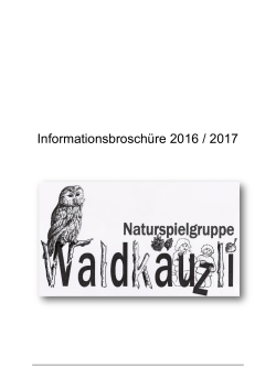 Informationsbroschüre 2016 / 2017
