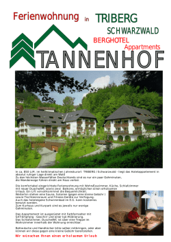 Ferienwohnung in TRIBERG - Fewo