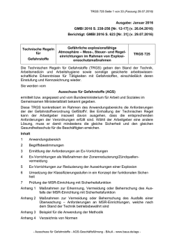 TRGS 725 Gefährliche explosionsfähige Atmosphäre
