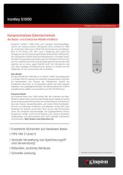 IronKey S1000