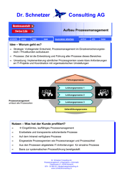Dr. Schnetzer Consulting AG Aufbau Prozessmanagement