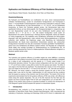 Hydraulics and Guidance Efficiency of Fish Guidance Structures