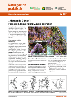 "Kletternde Gärten": Fassaden, Mauern und Zäune begrünen
