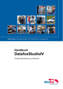 Datafox StudioIV Handbuch Version 04.03.06