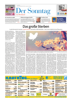 Online Verlag GmbH Freiburg :: Image-Server