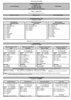 Organigramm Jugendamt