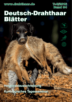 Deutsch-Drahthaar Blätter