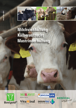 Milchviehhaltung Kälberaufzucht Mastrinderhaltung